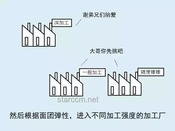 **高考结束瞬间：走出校门的多元人生路径对比分析**